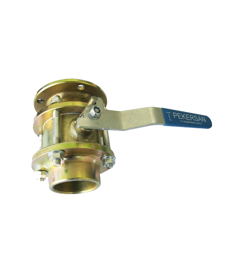 2lik Çelik Küresel Baş Vana