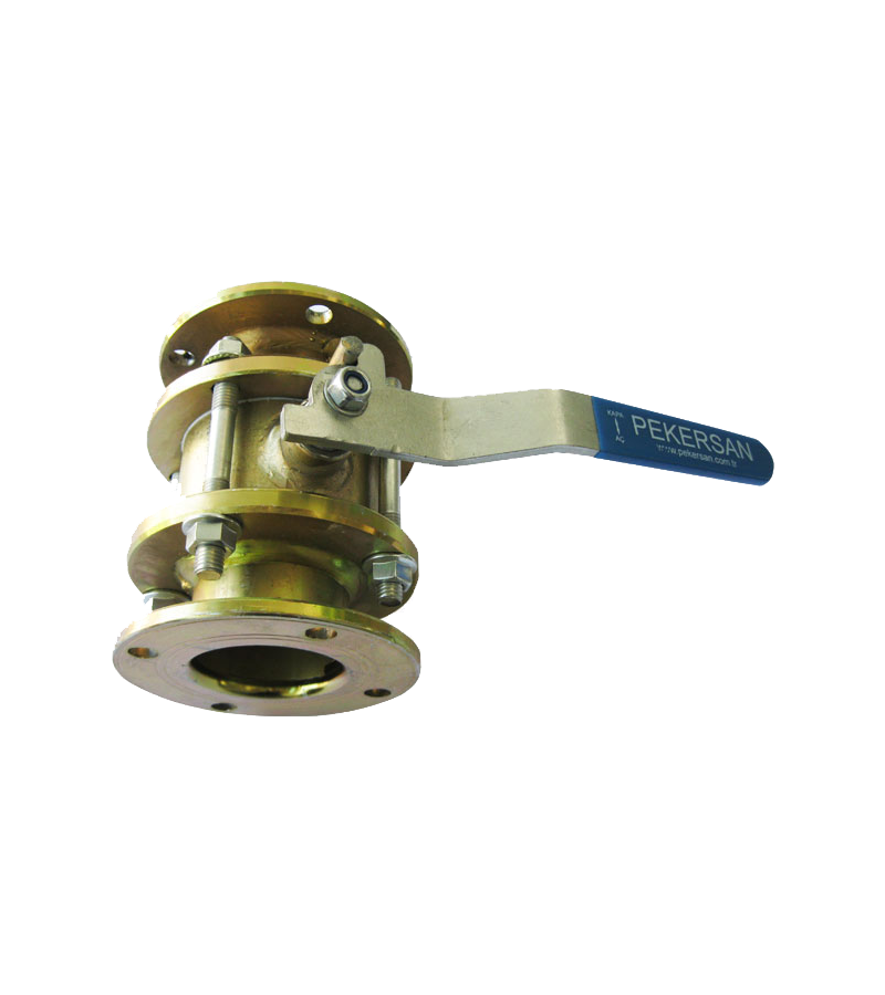 2lik Çelik Küresel Dip Vana